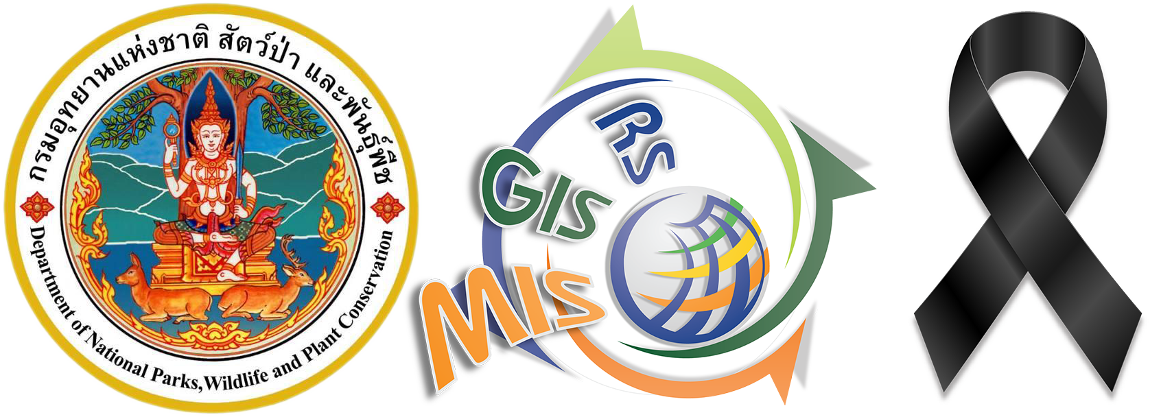 www.gisdnpcm.com